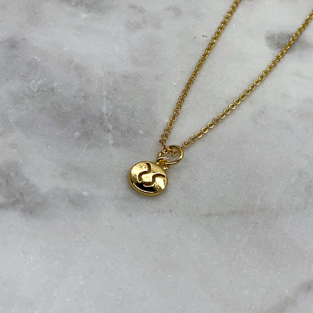 Tiny Zodiac Necklace - Gold