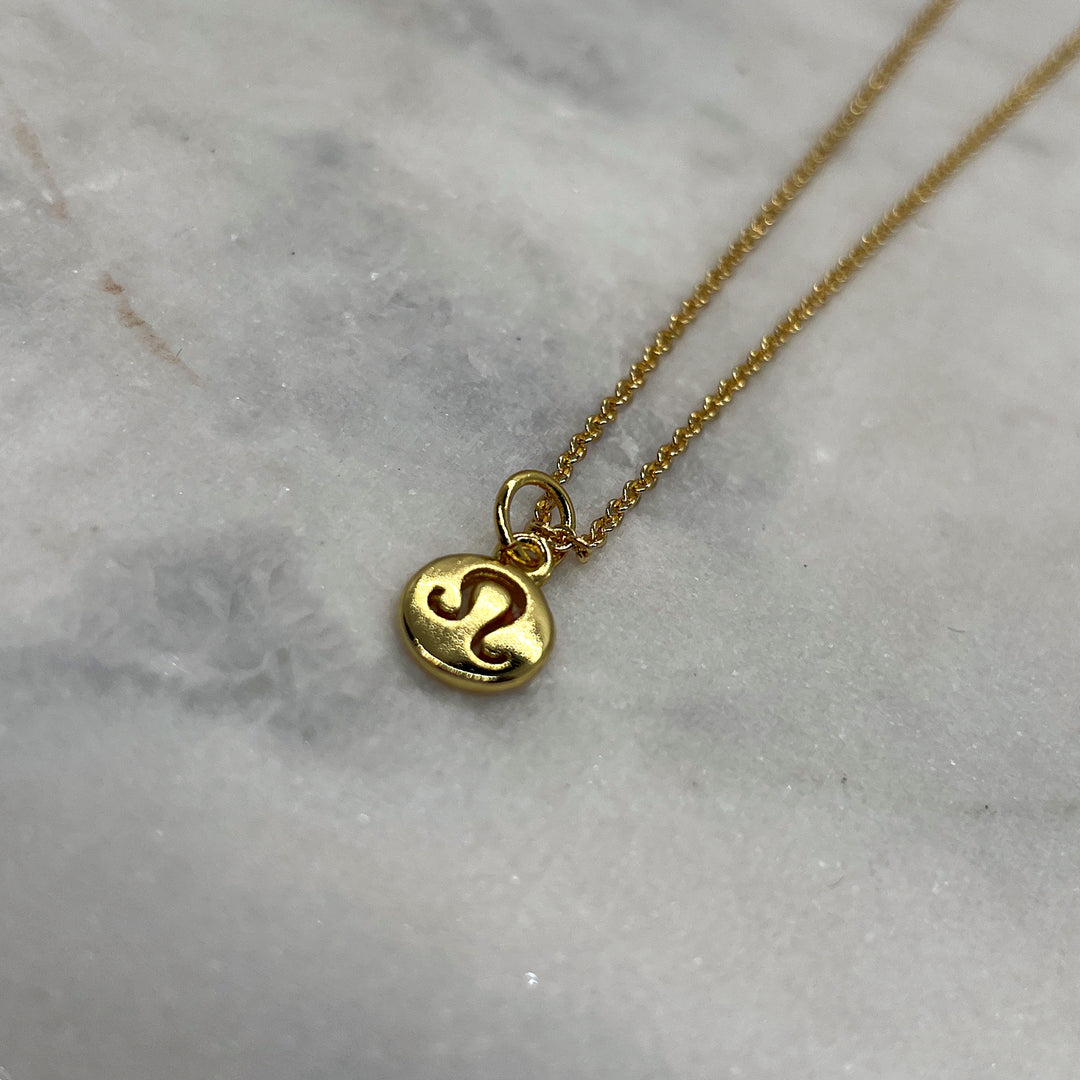 Tiny Zodiac Necklace - Gold