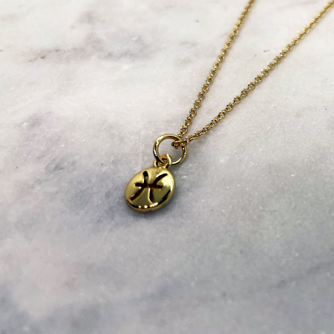 Tiny Zodiac Necklace - Gold