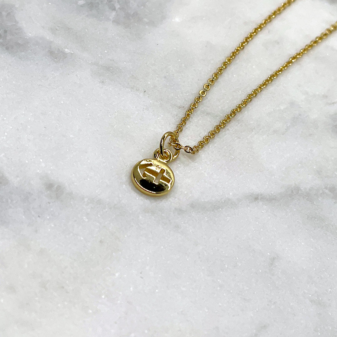 Tiny Zodiac Necklace - Gold