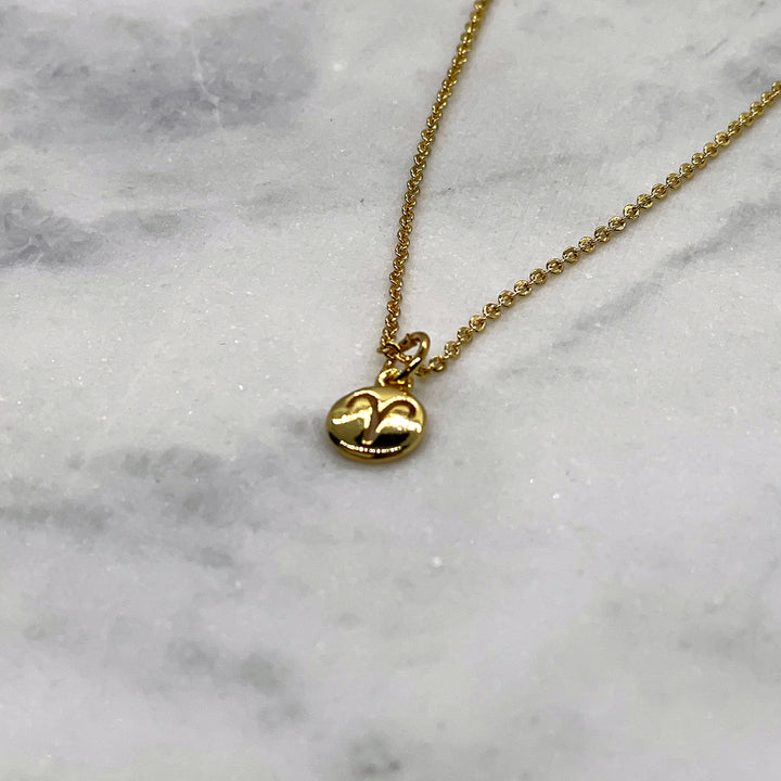 Tiny Zodiac Necklace - Gold