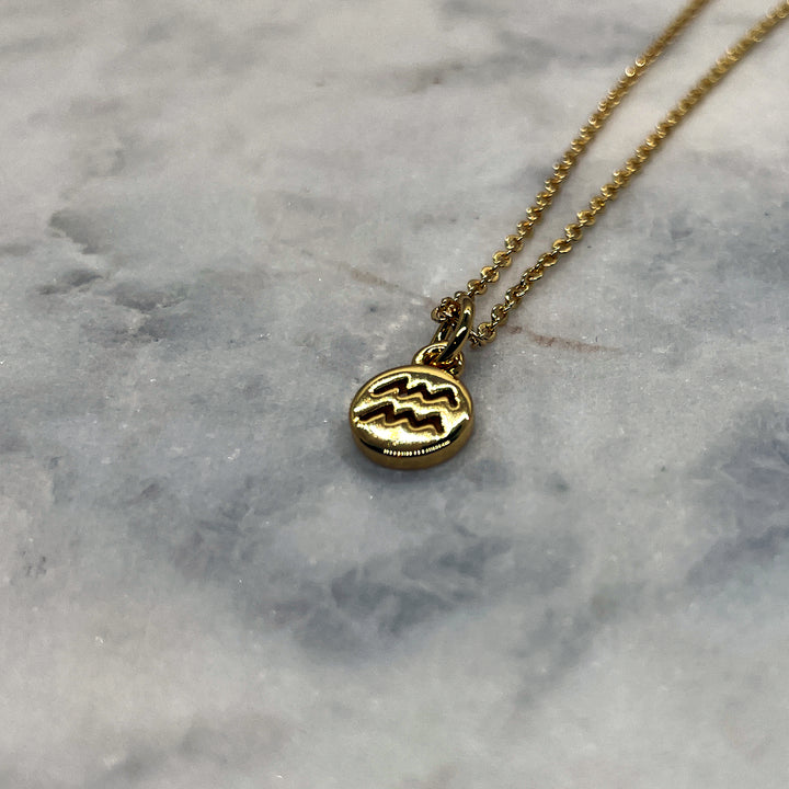 Tiny Zodiac Necklace - Gold