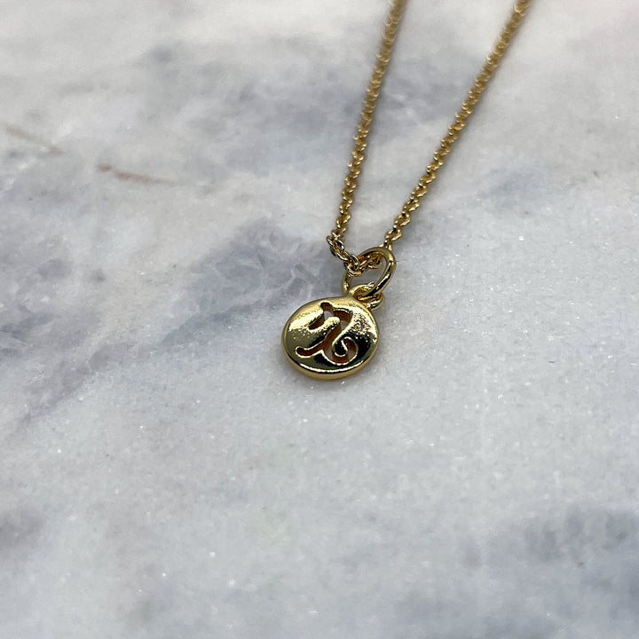 Tiny Zodiac Necklace - Gold